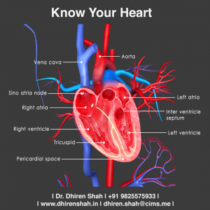 Know Your Heart !