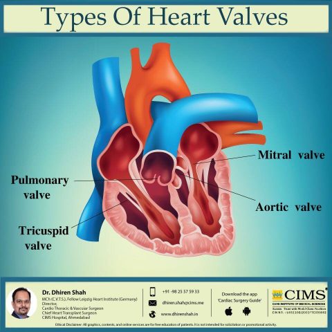 Types of heart valves. | The Best Cardiac Surgeon in Ahmedabad and Best ...